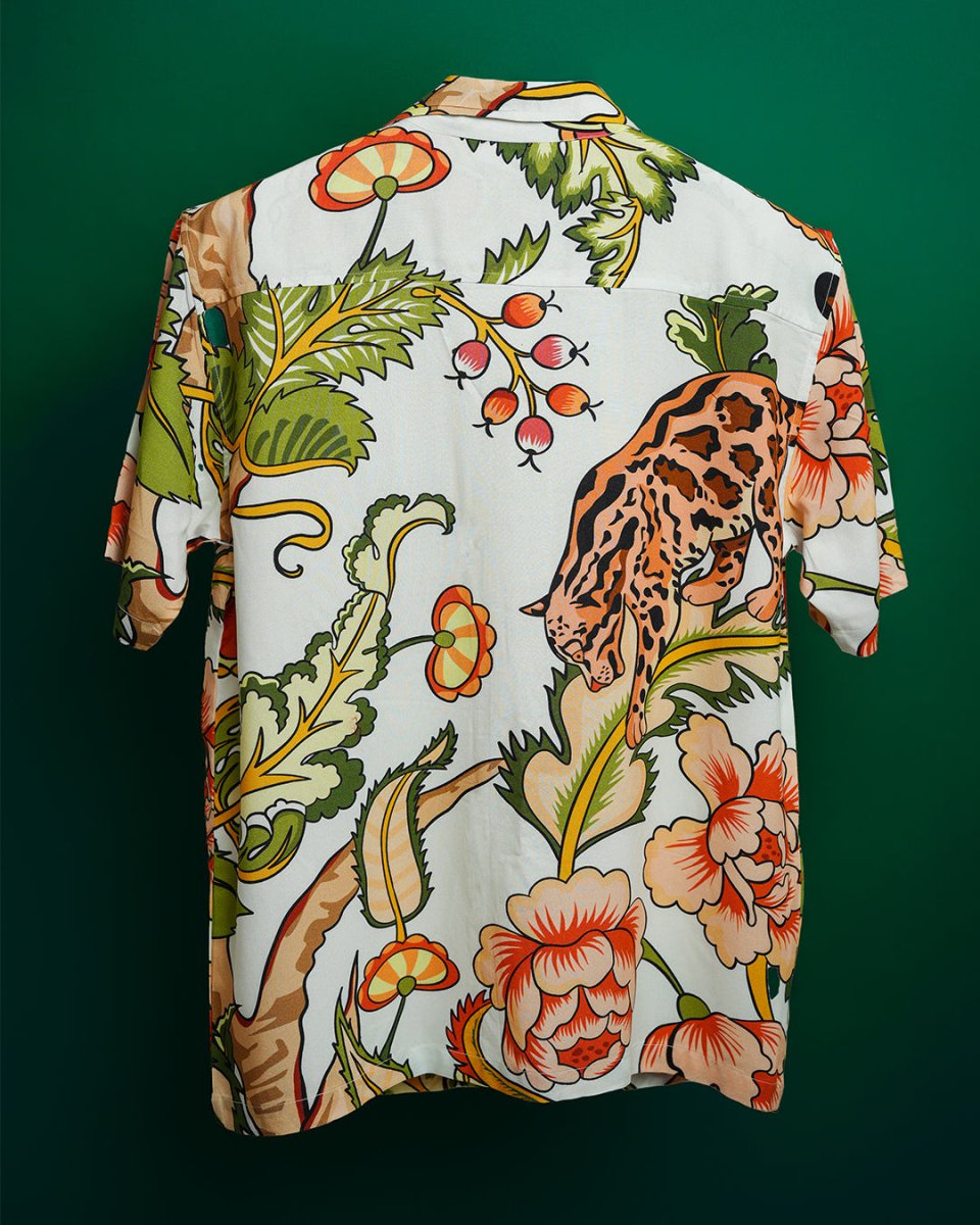 Safari