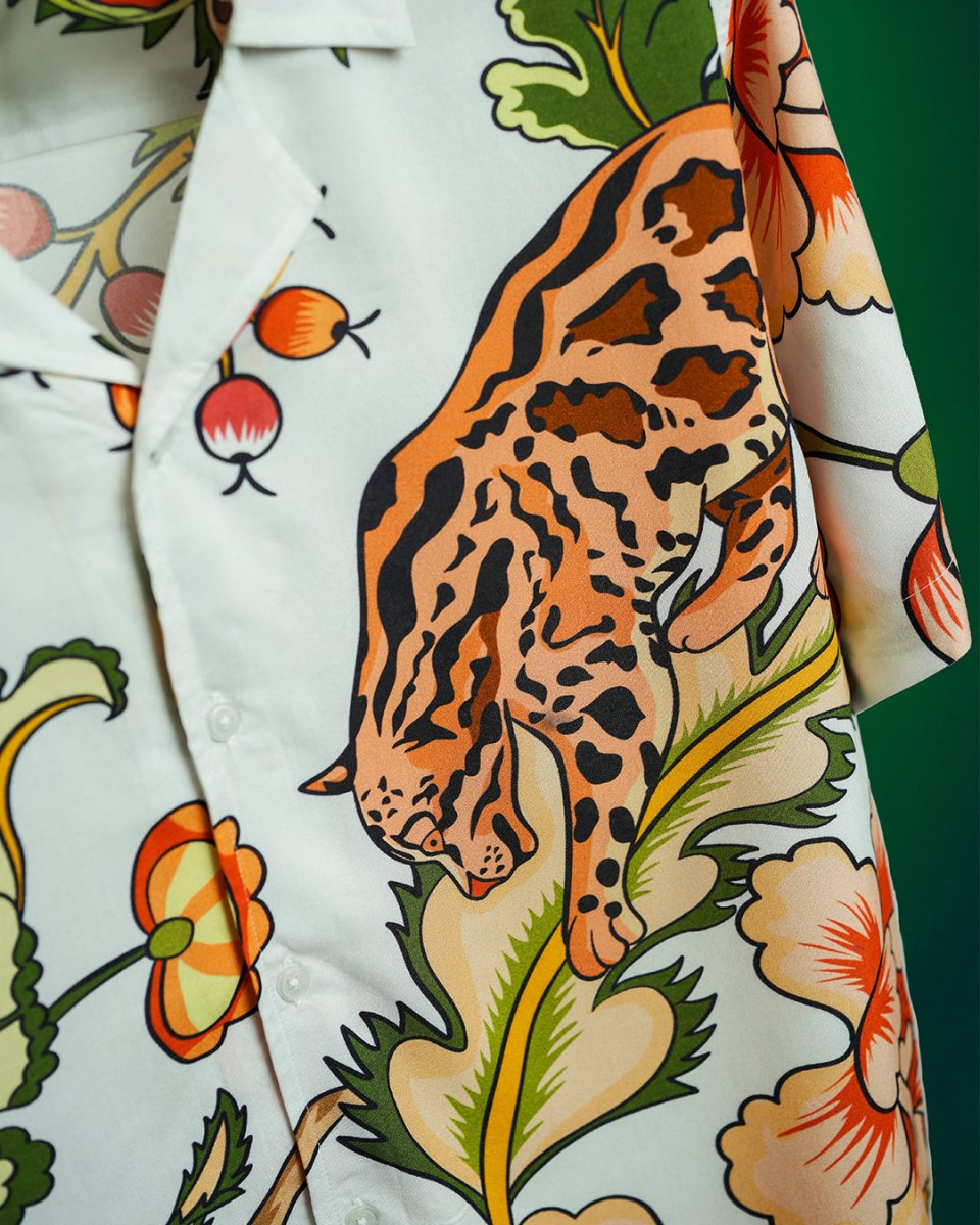 Safari