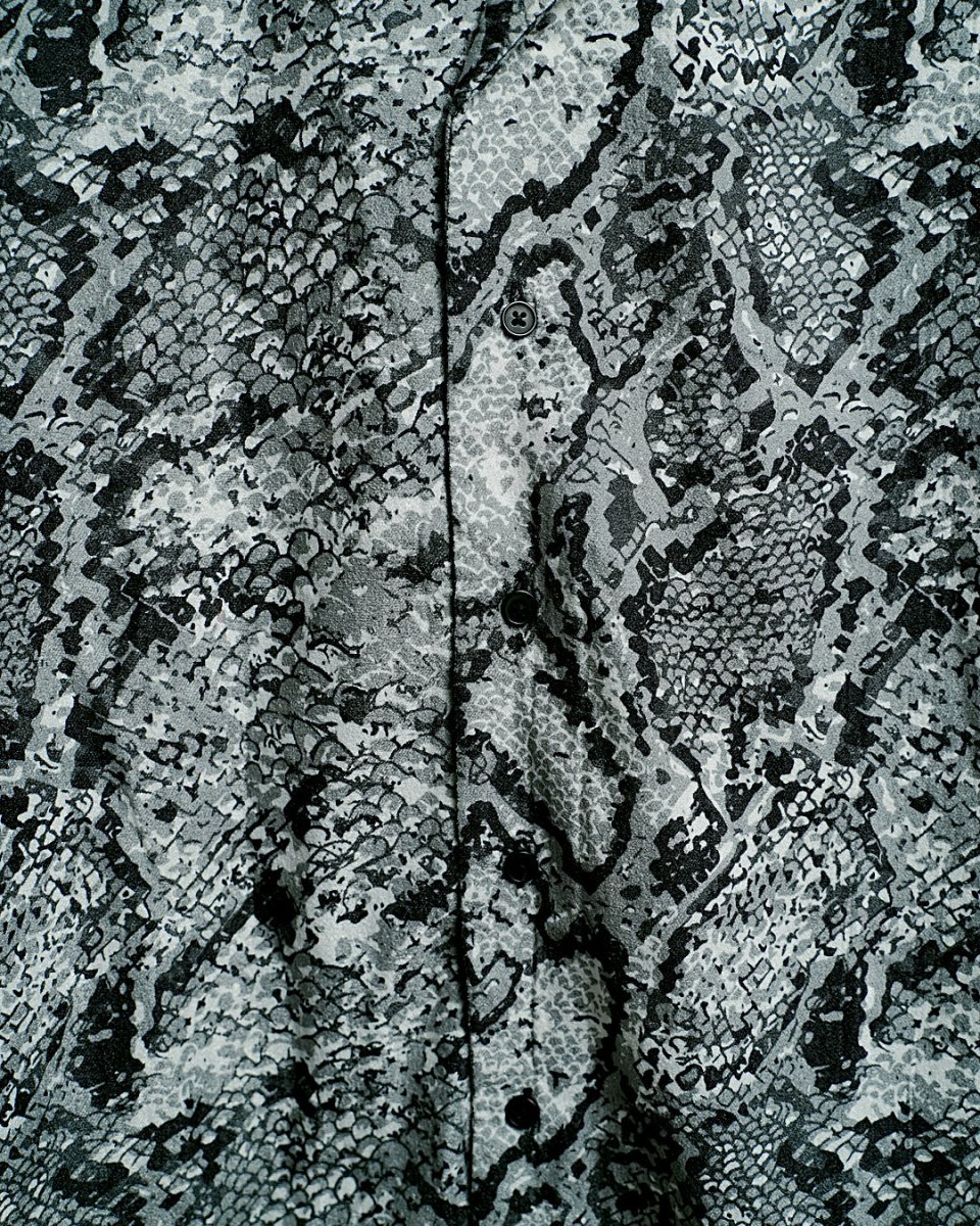 Snake
